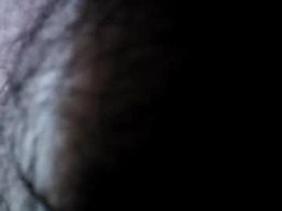 Most Recent Photo of utahdog