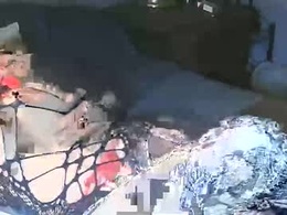 Most Recent Photo of vanessaanythinggoes