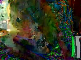 Most Recent Photo of vani6083