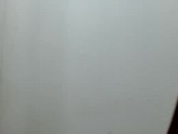 Most Recent Photo of velangy