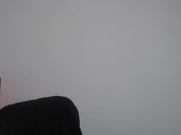 Most Recent Photo of violettouse