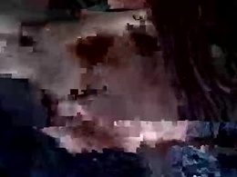 Most Recent Photo of whitpine1