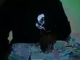 Most Recent Photo of wild71704513716