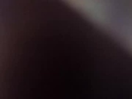 Most Recent Photo of wildfusion