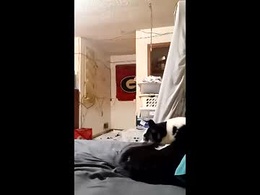 Most Recent Photo of willmc2026